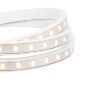 Strip Lighting